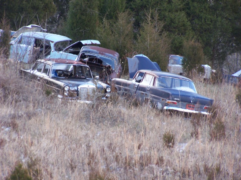 Illustration for article titled Over 1,000 Vintage Mercedes-Benzes Await The Cruel Jaws Of The Crusher In Kentucky